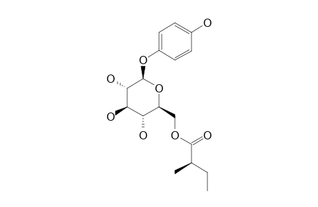 GREVILLOSIDE-J