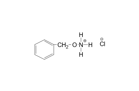 O-Benzylhydroxylamine hydrochloride