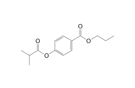 Propylparaben, 2-methylpropionate