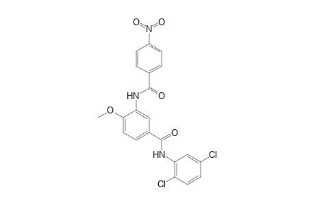 N-(2,5-Dichlorophenyl)-4-methoxy-3-(4-nitrobenzamido)benzamide