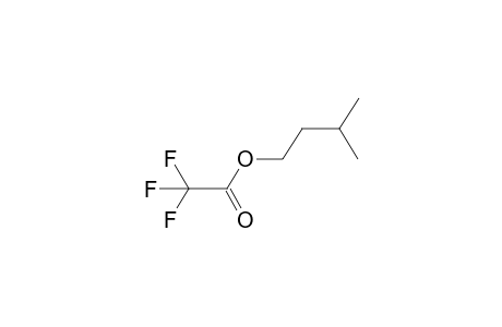 Trifluoroacetic acid, isopentyl ester