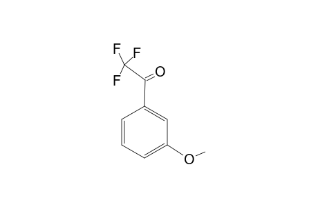 TRIFLUOROMETHYL-(3-METHOXYPHENYL)-KETONE;2,2,2-TRIFLUORO-1-(3-METHOXYPHENYL)-ETHANONE