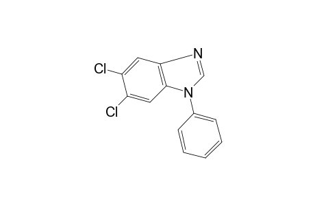 5,6-dichloro-1-phenylbenzimidazole