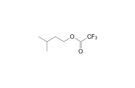 Trifluoroacetic acid, isopentyl ester