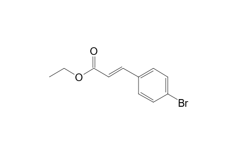 Ethyl trans-4-bromocinnamate