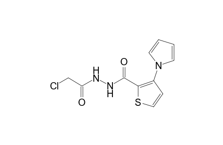 1-(chloroacetyl)-2-[3-(pyrrol-1-yl)-2-thenoyl]hydrazine