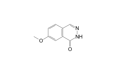 7-METHOXY-1(2H)-PHTHALAZINONE