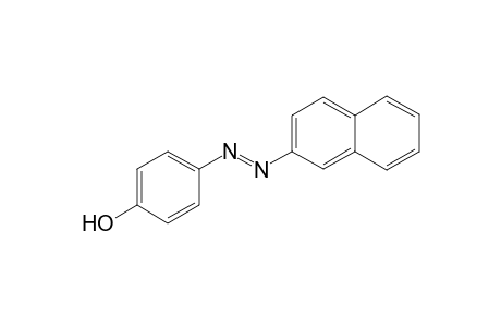 4-[(E)-2-naphthyldiazenyl]phenol