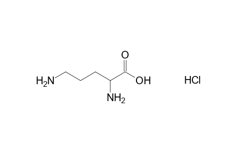 D,L-Ornithine monohydrochloride