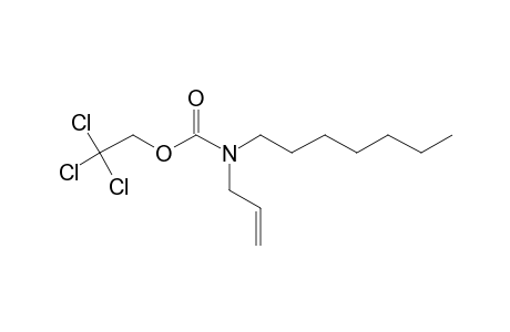 Carbamic acid, N-allyl-N-heptyl-, 2,2,2-trichloroethyl ester