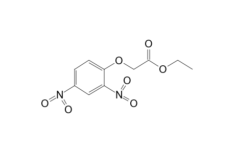 2,4-dinitrophenoxyacetic acid, ethyl ester