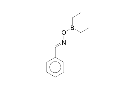 (E)-benzal(diethylboranyloxy)amine