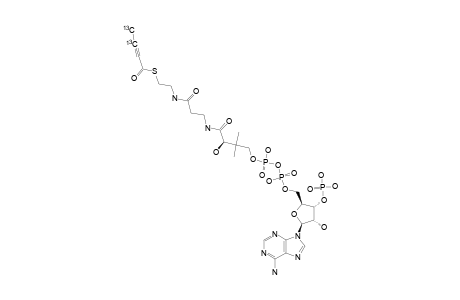 [3,4-(13)C2]-2-BUTYNOYL-COA