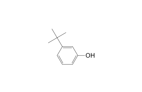 3-Tert-butylphenol