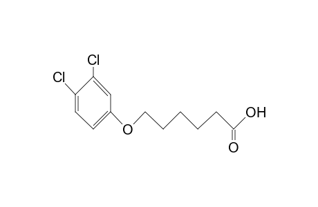 Hexanoic acid, 6-(3,4-dichlorophenoxy)-