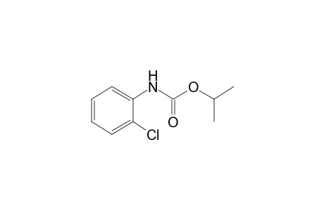 o-chlorocarbanilic acid, isopropyl ester
