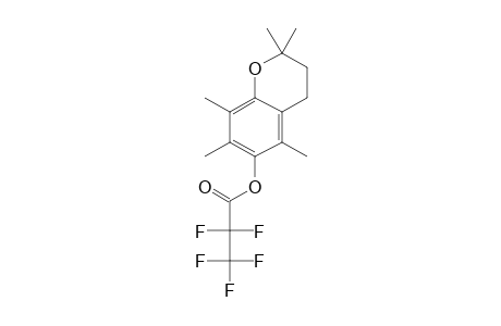 2,2,5,7,8-Pentamethyl-6-hydroxychroman, o-pentafluoropropionyl-