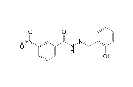 N'-[(E)-(2-hydroxyphenyl)methylidene]-3-nitrobenzohydrazide