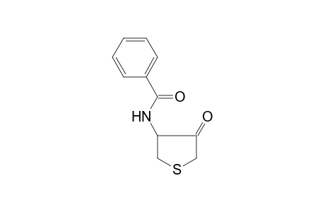 benzamide, N-(tetrahydro-4-oxo-3-thienyl)-