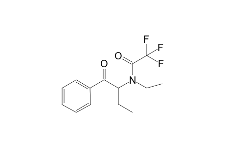 NEB TFA