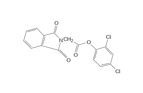 1,3-dioxo-2-isoindolineacetic acid, 2,4-dichlorophenyl ester