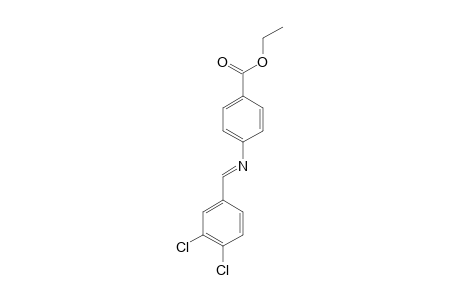 p-[(3,4-dichlorobenzylidene)amino]benzoic acid, ethyl ester
