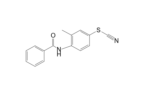thiocyanic acid, 4-benzamido-m-tolyl ester