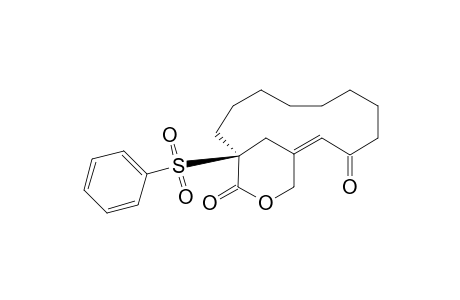 10-Oxo-1-phenylsulfonyl-1,12-(methanoxycarbonyl)cyclotridec-11-ene-1-carboxylic methyl ester