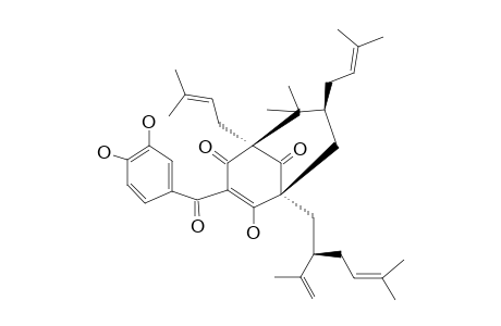 GUTTIFERONE-E