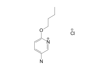 5-amino-2-butoxypyridine, hydrochloride