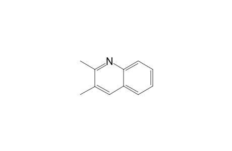 2,3-Dimethyl-quinoline