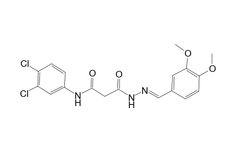 beta-alanine, N-(3,4-dichlorophenyl)-3-oxo-, 2-[(E)-(3,4-dimethoxyphenyl)methylidene]hydrazide