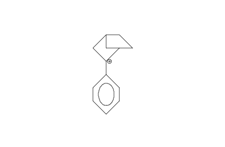 2-Phenyl-2-norbornyl cation