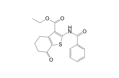 Ethyl 2-(benzoylamino)-7-oxo-4,5,6,7-tetrahydro-1-benzothiophene-3-carboxylate