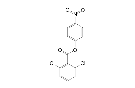 2,6-dichlorobenzoic acid, p-nitrophnenyl ester