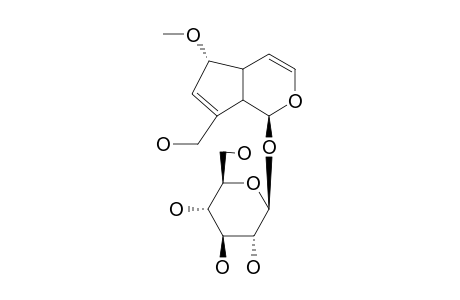 6-O-METHYLEPIAUCUBIN