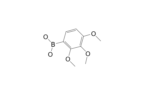2,3,4-Trimethoxyphenylboronic acid