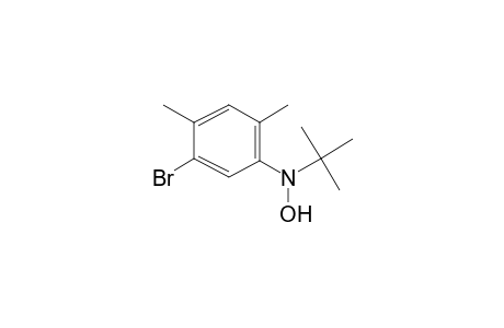 1-Bromo-5-[tert-butyl(hydroxy)amino]-2,4-dimethylbenzene