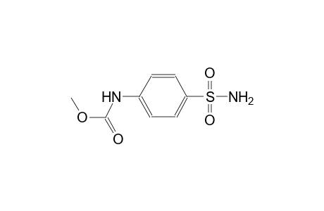 p-sulfamoylcarbanilic acid, methyl ester