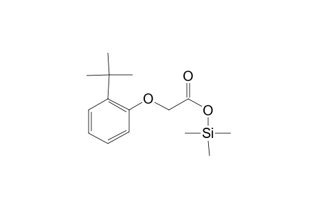 (2-Tert-butylphenoxy)acetic acid, tms derivative