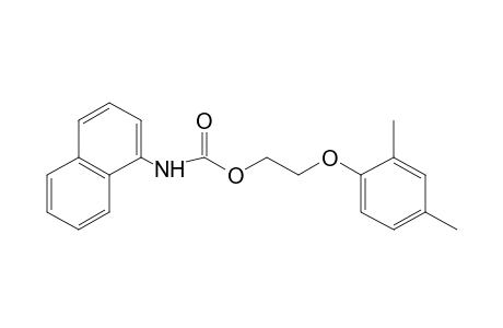 1-Naphthalenecarbamic acid, 2-(2,4-xylyloxy)ethyl ester