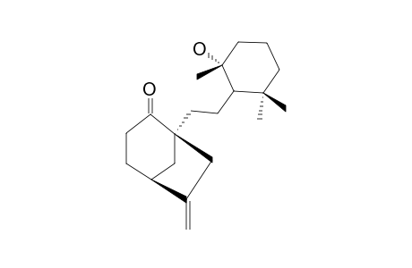 (1S*,5R*)-1-[((1R*,2R*)-2,6,6-TRIMETHYLCYCLOHEXYL)-ETHYL]-6-METHYLENEBICYCLO-[3.2.1]-OCTAN-2-ONE