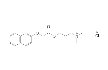 [(2-naphthyl)oxy]acetic acid, 3-(dimethylamino)propyl ester, hydrochloride