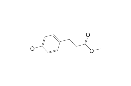 Methyl 3-(4-hydroxyphenyl)propionate