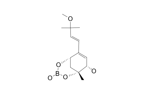 9-O-METHYLACREMINE_F_BORATEESTER