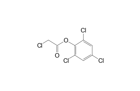 CHLOROACETIC ACID, 2,4,6-TRICHLOROPHENYL ESTER