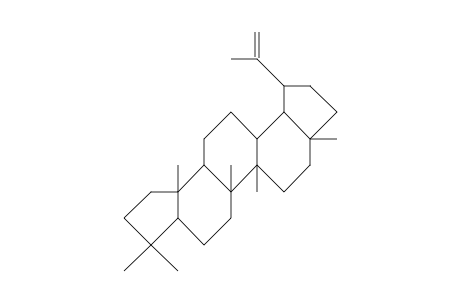 A(1)-Norlupane