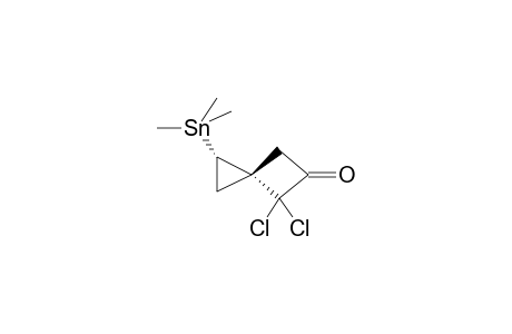 (1R*,3R*)-4,4-DICHLORO-1-TRIMETHYLSTANNYLSPIRO[2.1]HEXAN-5-ONE