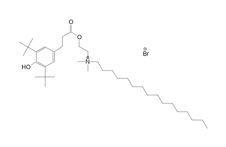 N-(2-{[3-(3,5-ditert-butyl-4-hydroxyphenyl)propanoyl]oxy}ethyl)-N,N-dimethyl-1-hexadecanaminium bromide