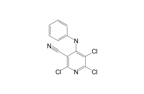 3-CYANO-4-PHENYLAMINOTRICHLOROPYRIDINE